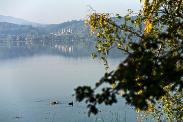 View to the calm waters of the Laacher See crater lake in Germany. (Photo: Tobias Schorr)